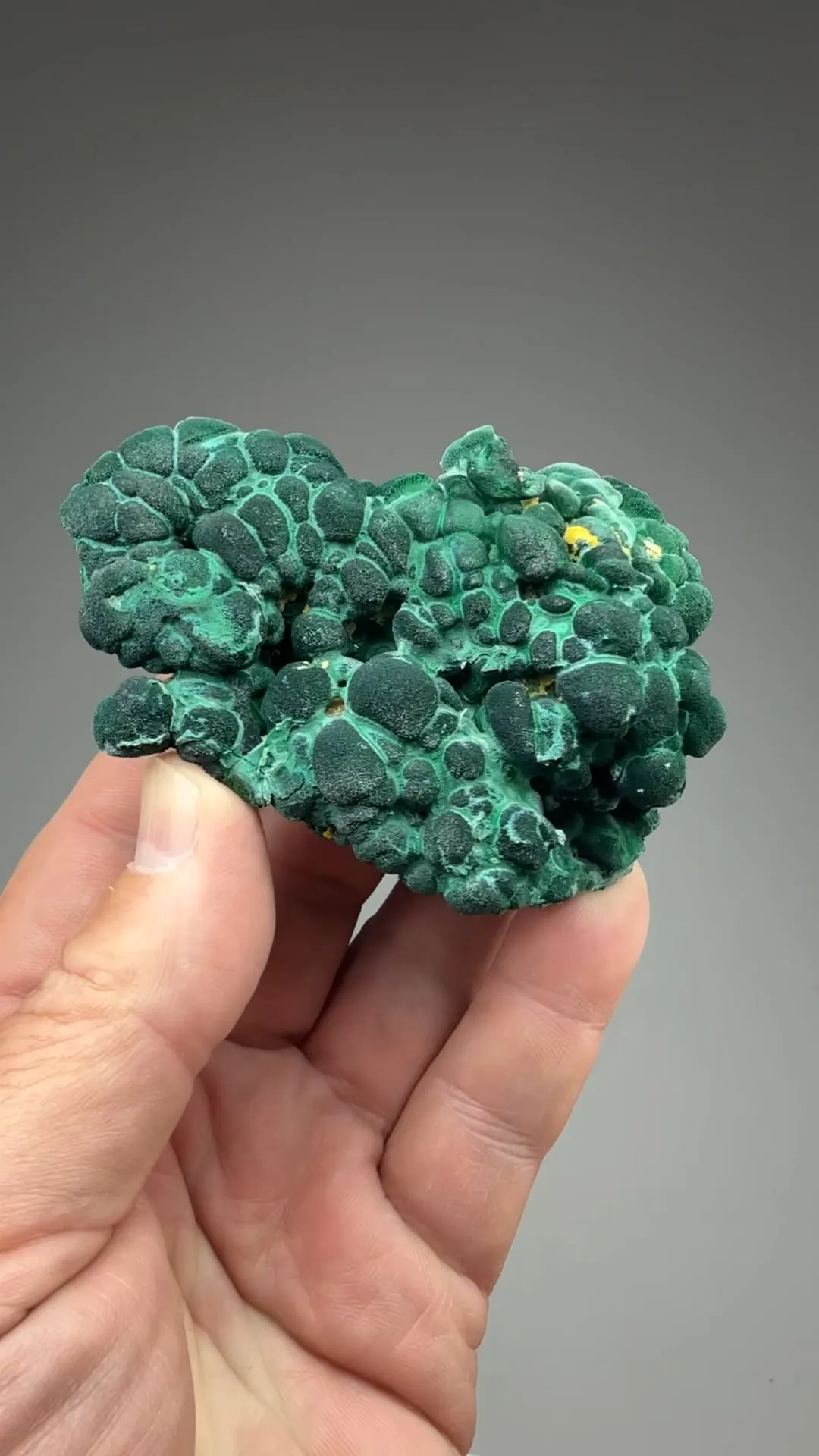 Malachite with Pyromorphite - image 2