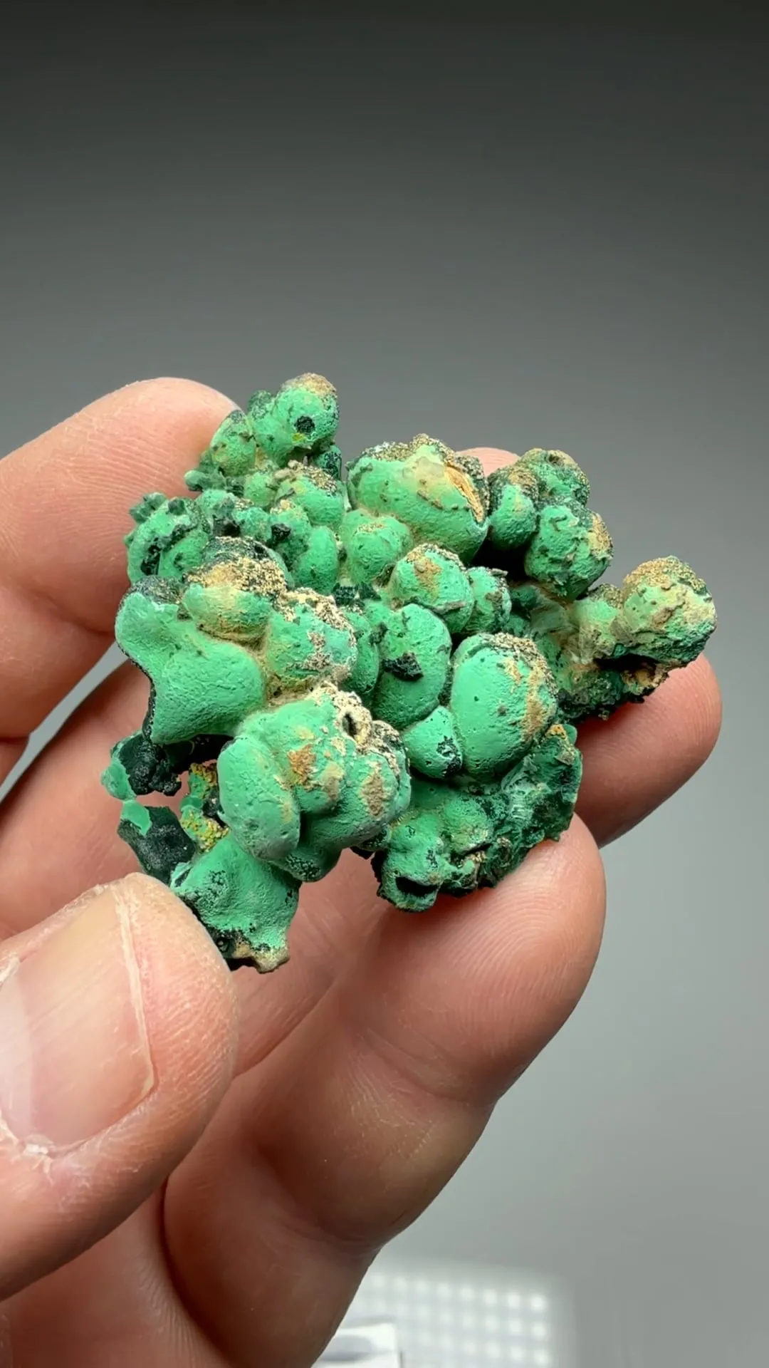 Malachite with Pyromorphite - image 2