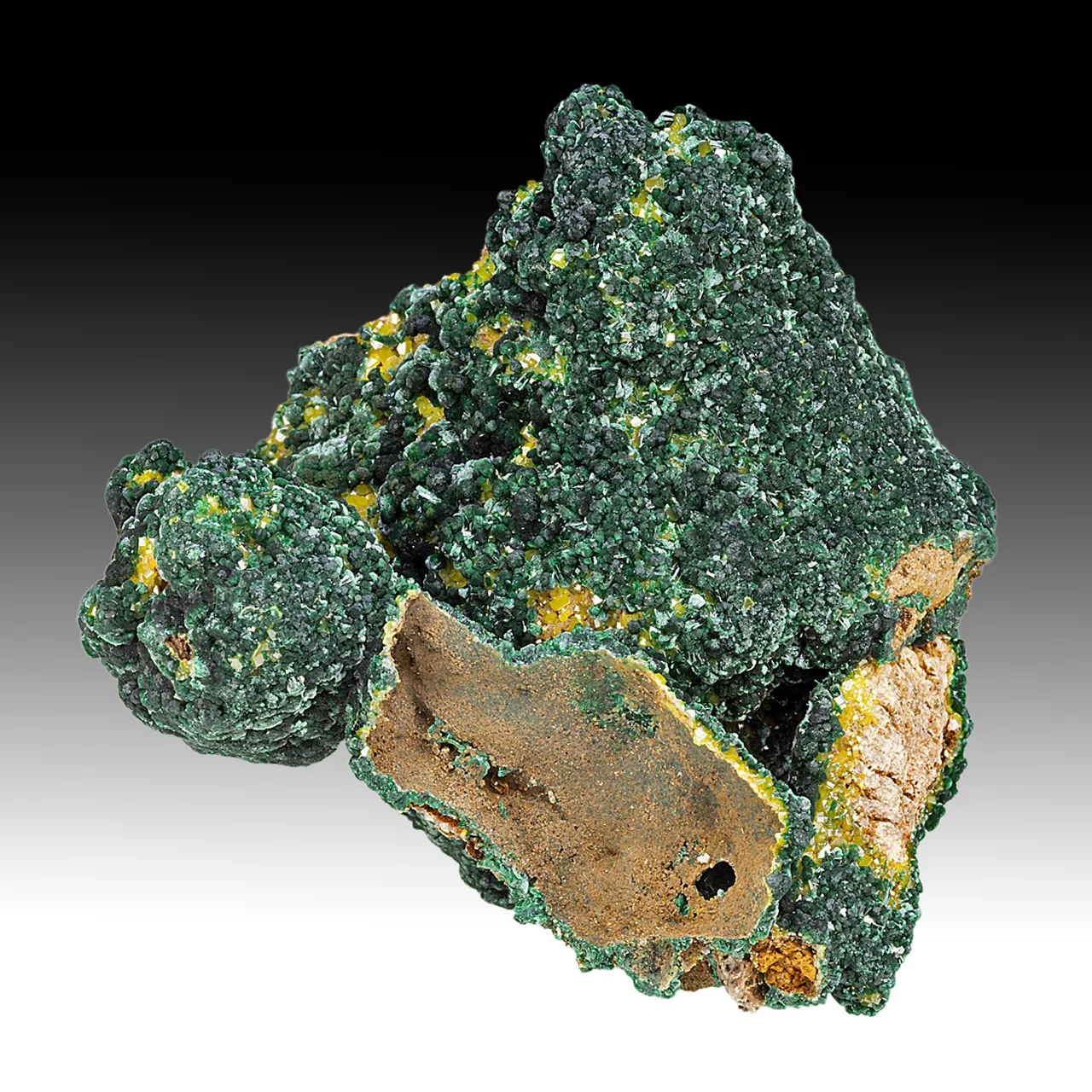 Malachite with Pyromorphite - image 1
