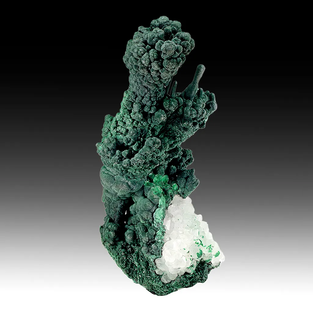 Malachite with Quartz image