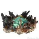 Malachite with Quartz - image 3