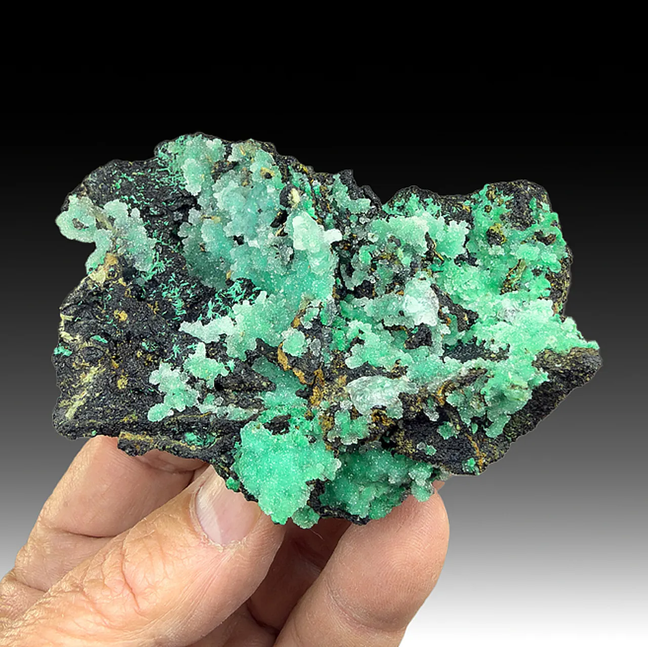 Malachite with Quartz, Calcite - image 1