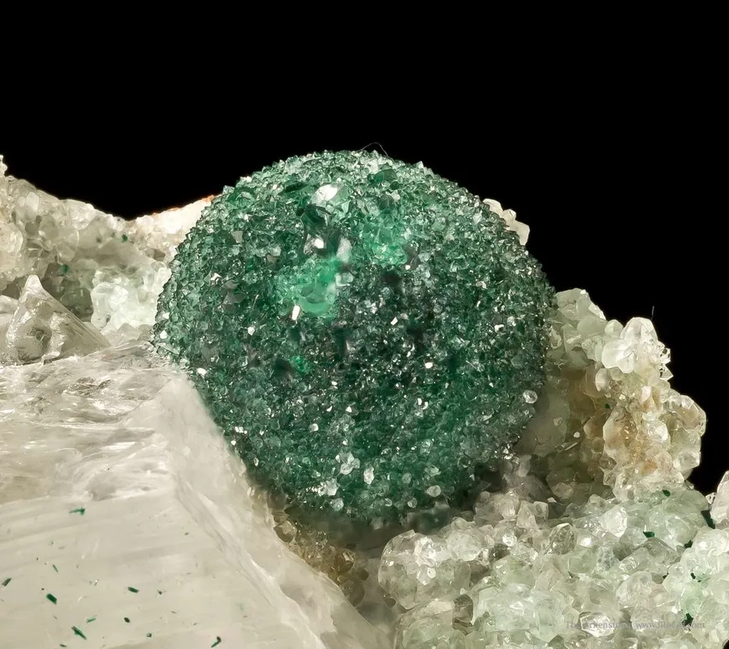 Malachite With Quartz on Selenite image