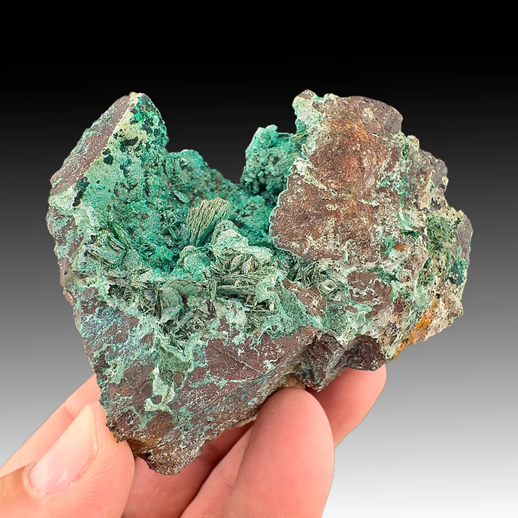 Malachite with Shattuckite - image 1