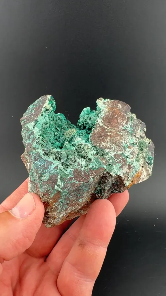 Malachite with Shattuckite image