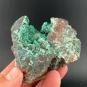 Malachite with Shattuckite - image 1