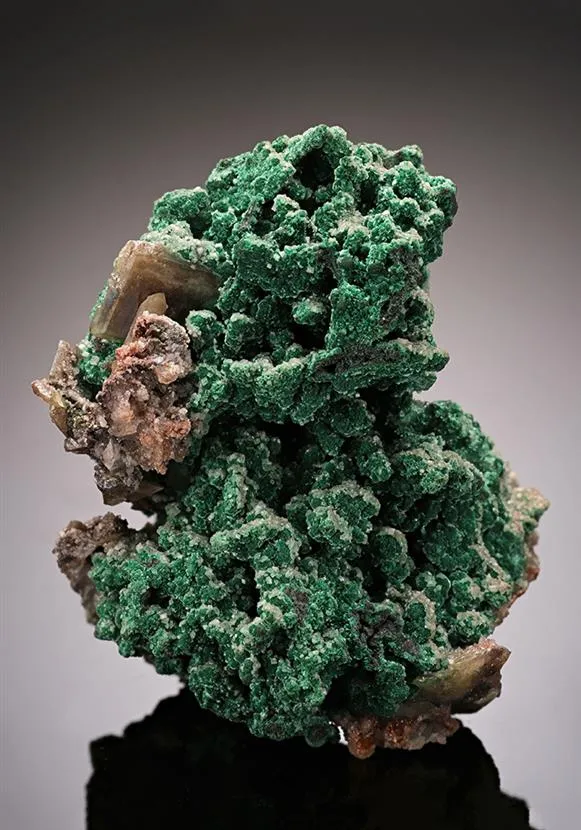 Malachite with Wulfenite image