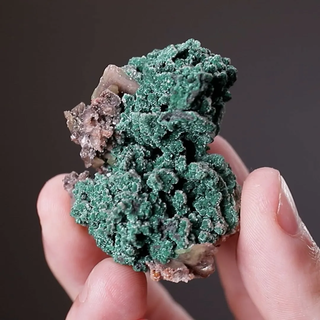 Malachite with Wulfenite - image 2