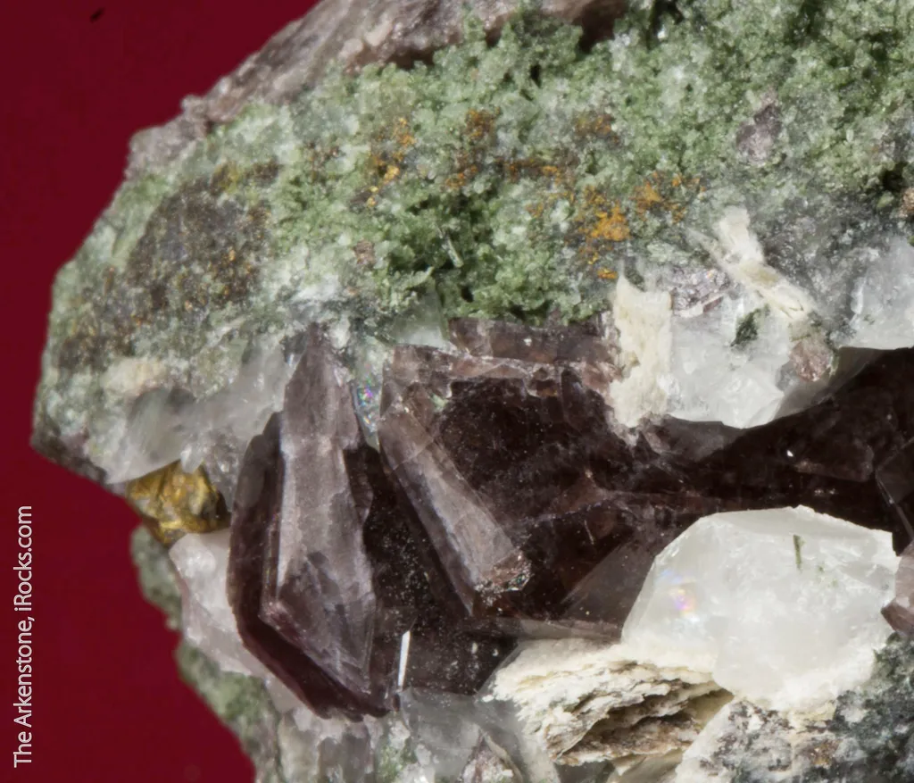 Malayaite with Ferro-Axinite and Hedenbergite - image 3