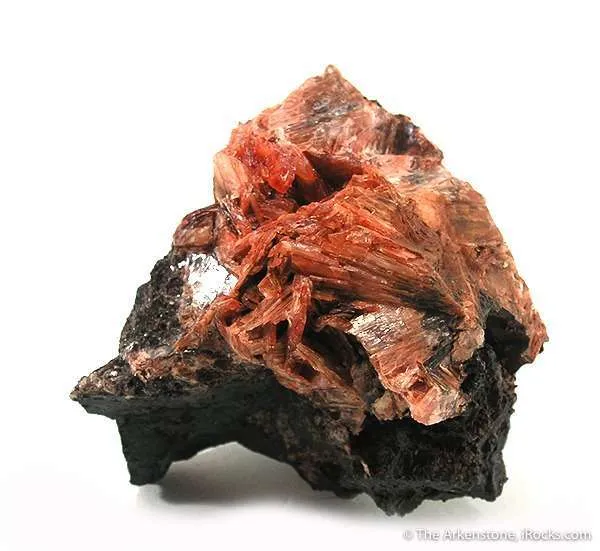 Mangan-Diaspore image