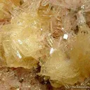 Manganaxinite on Rhodonite - image 2