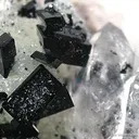 Manganbabingtonite on Prehnite and Quartz - image 2