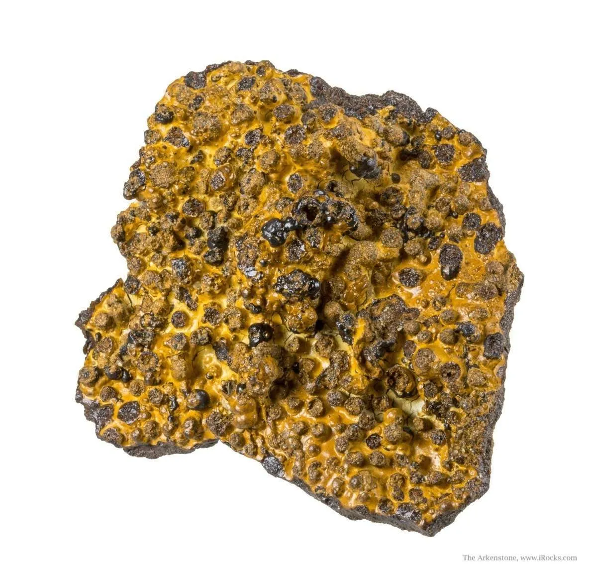 Manganese Biominerals (Todorokite, Romanechite, Birnessite) - image 2