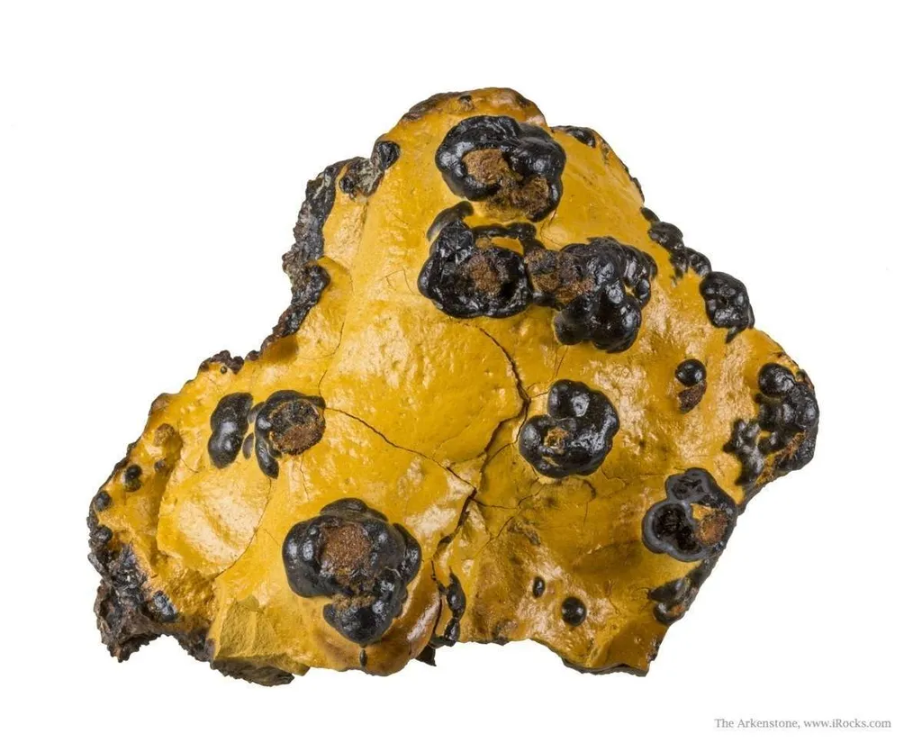 Manganese Biominerals (Todorokite, Romanechite, Birnessite) image