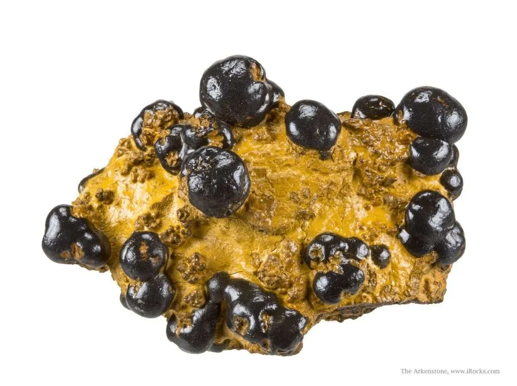 Manganese Biominerals (Todorokite, Romanechite, Birnessite) image