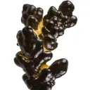 Manganese Biominerals (Todorokite, Romanechite, Birnessite) - image 2
