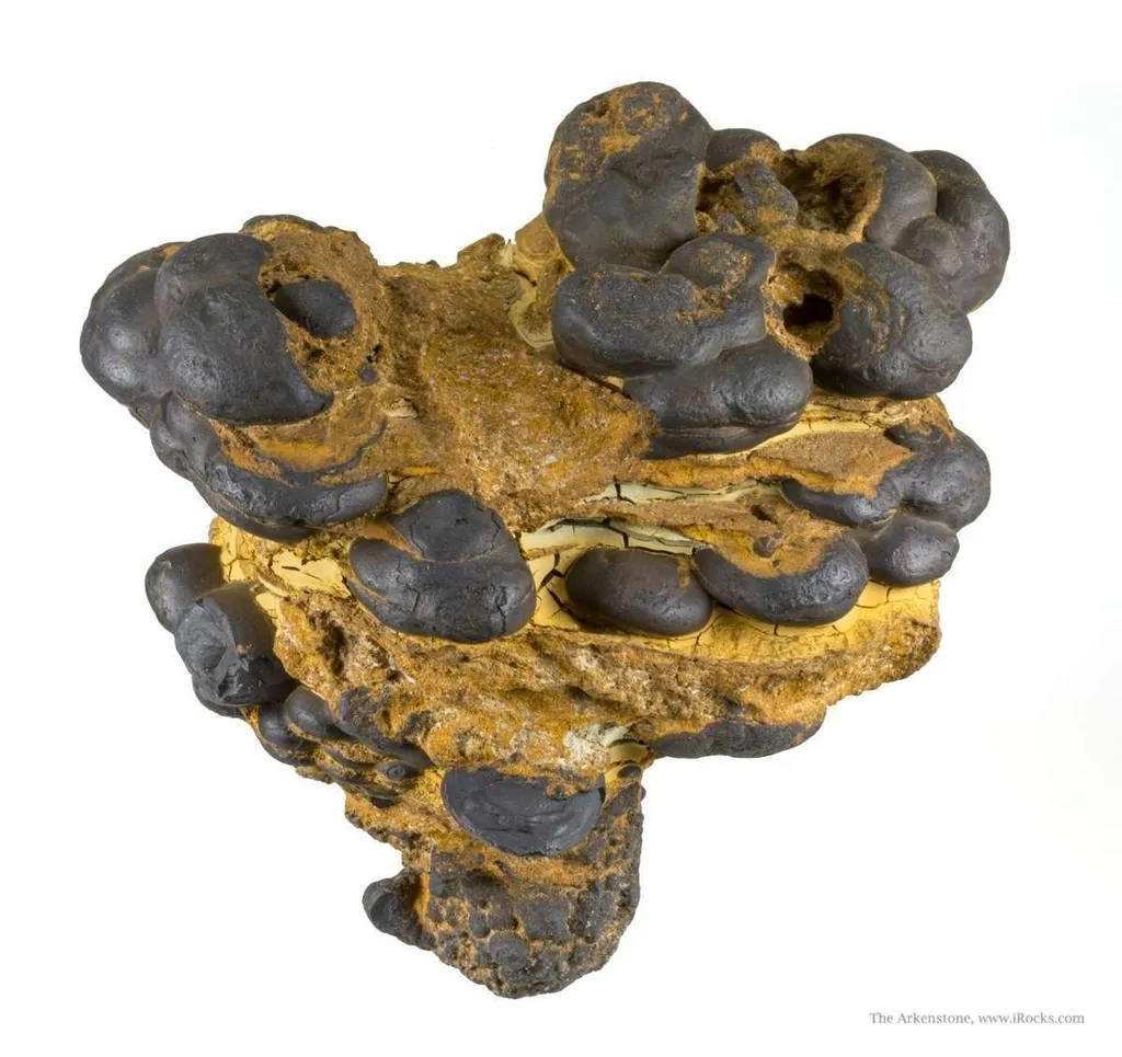 Manganese Biominerals (Todorokite, Romanechite, Birnessite) image