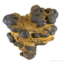 Manganese Biominerals (Todorokite, Romanechite, Birnessite) - image 1