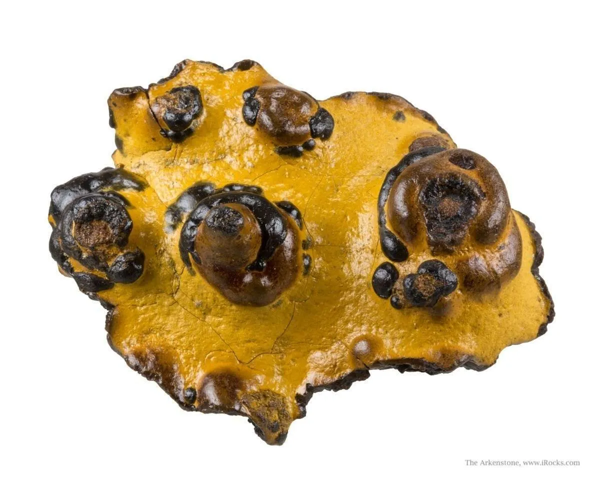 Manganese Biominerals (Todorokite, Romanechite, Birnessite) - image 1