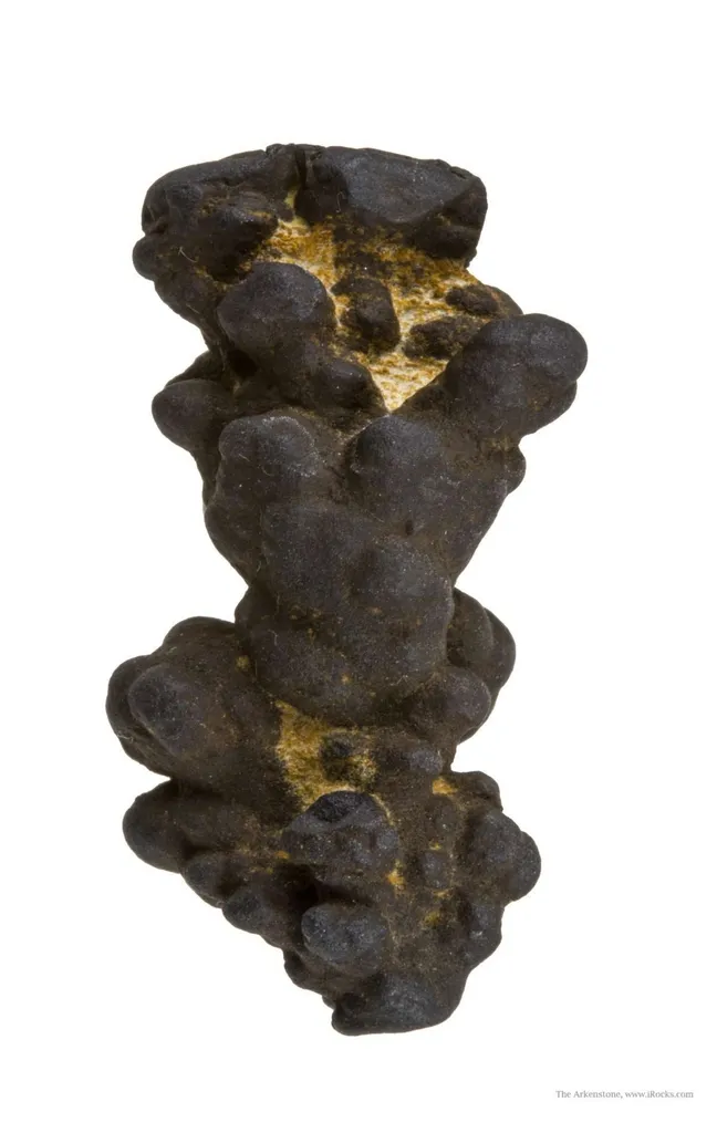 Manganese Biominerals (Todorokite, Romanechite, Birnessite) - image 2