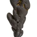 Manganese Biominerals (Todorokite, Romanechite, Birnessite) - image 2