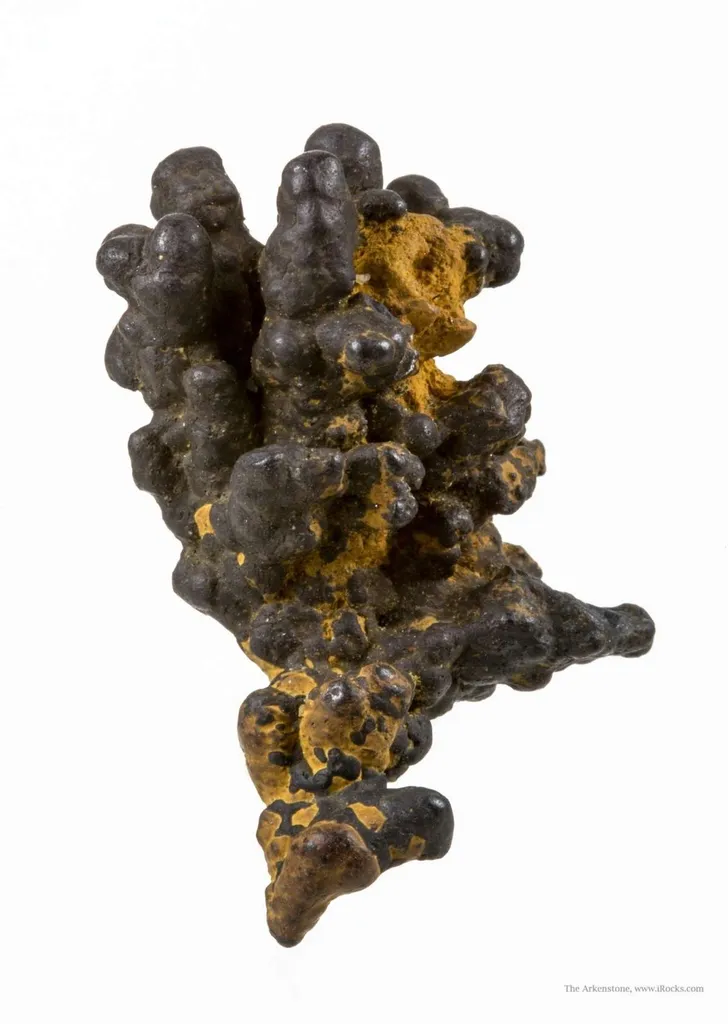Manganese Biominerals (Todorokite, Romanechite, Birnessite) - image 2