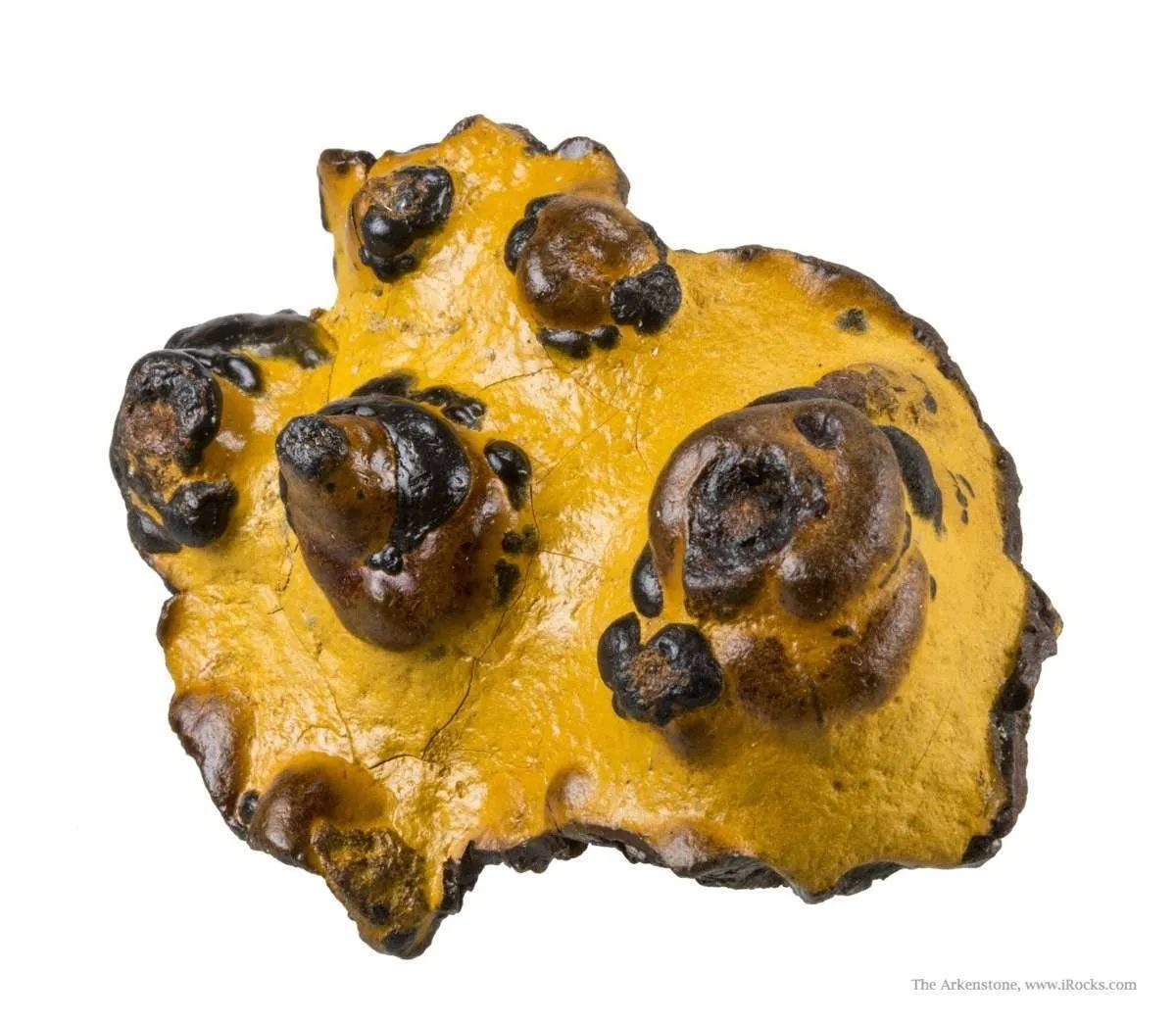 Manganese Biominerals (Todorokite, Romanechite, Birnessite) - image 2