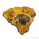 Manganese Biominerals (Todorokite, Romanechite, Birnessite) - image 1