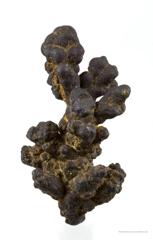 Manganese Biominerals (Todorokite, Romanechite, Birnessite) - image 2