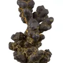 Manganese Biominerals (Todorokite, Romanechite, Birnessite) - image 2