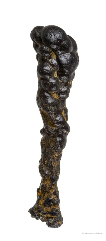 Manganese Biominerals (Todorokite, Romanechite, Birnessite)