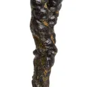 Manganese Biominerals (Todorokite, Romanechite, Birnessite) - image 1