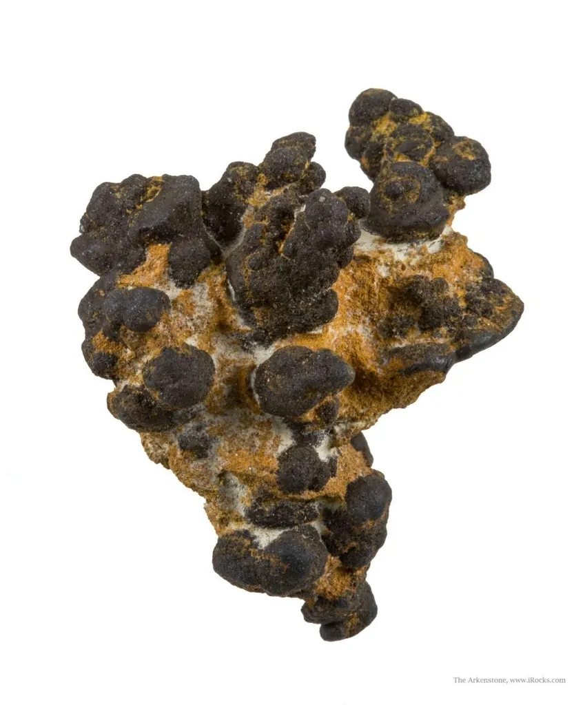 Manganese Biominerals (Todorokite, Romanechite, Birnessite) - image 2