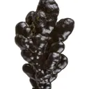 Manganese Biominerals (Todorokite, Romanechite, Birnessite) - image 1