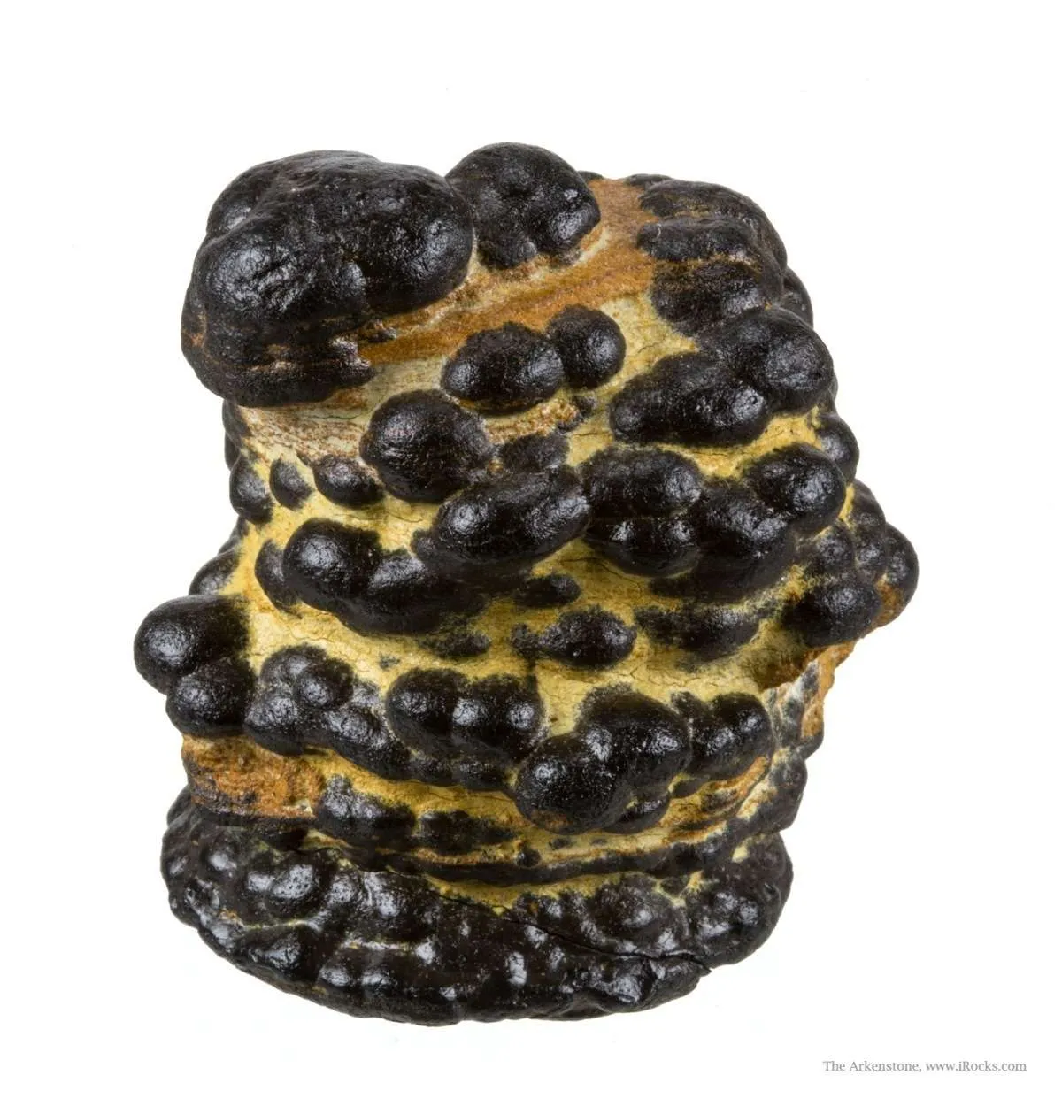 Manganese Biominerals (Todorokite, Romanechite, Birnessite) - image 1