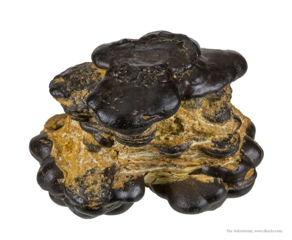 Manganese Biominerals (Todorokite, Romanechite, Birnessite) - image 3