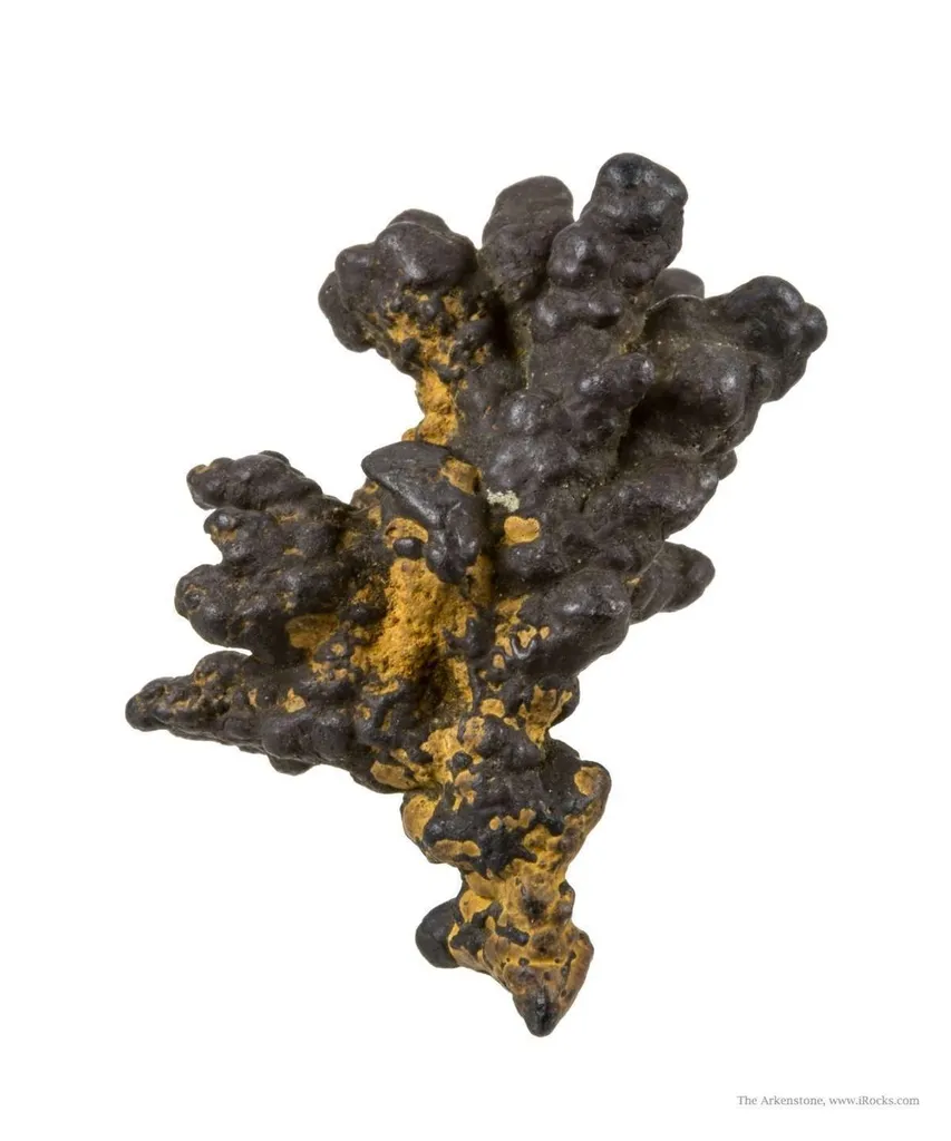 Manganese Biominerals (Todorokite, Romanechite, Birnessite) image