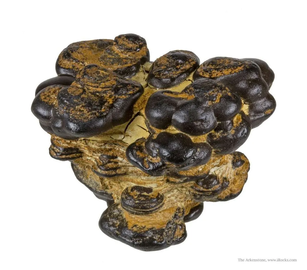 Manganese Biominerals (Todorokite, Romanechite, Birnessite) image