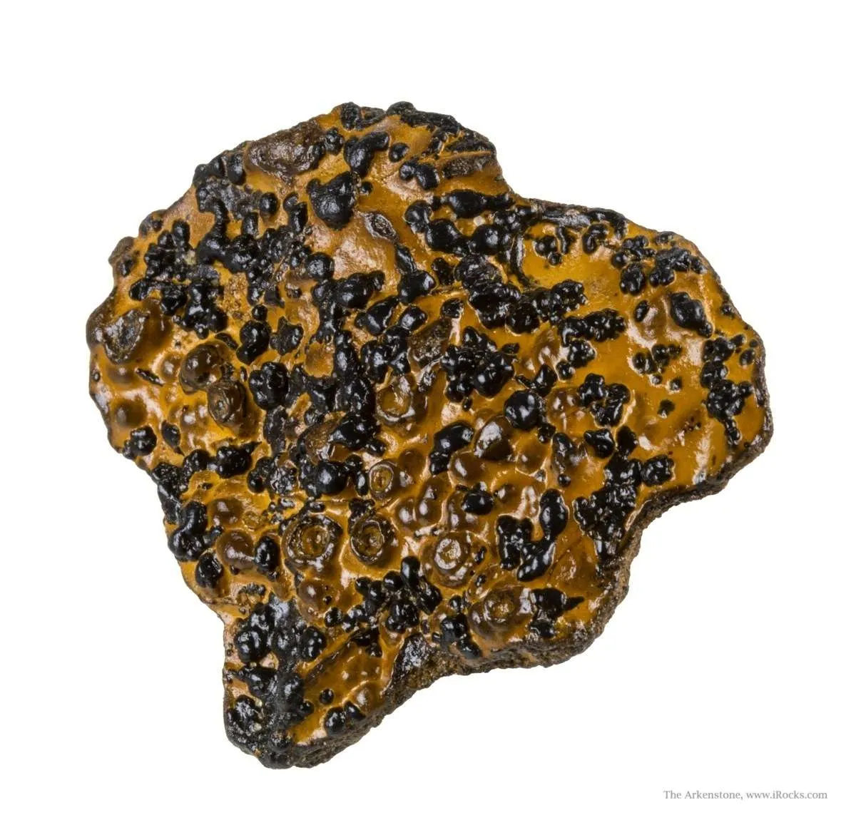 Manganese Biominerals (Todorokite, Romanechite, Birnessite) - image 2