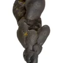Manganese Biominerals (Todorokite, Romanechite, Birnessite) - image 1