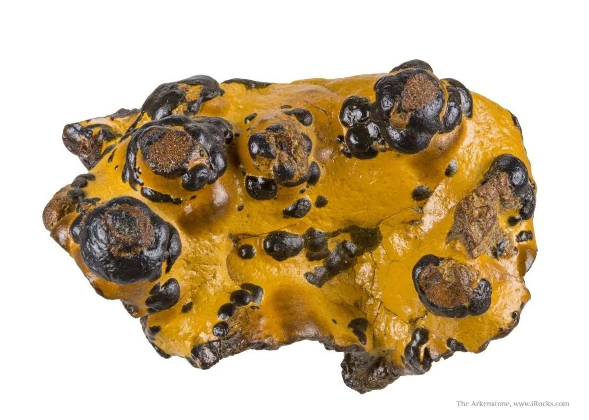 Manganese Biominerals (Todorokite, Romanechite, Birnessite) - image 1