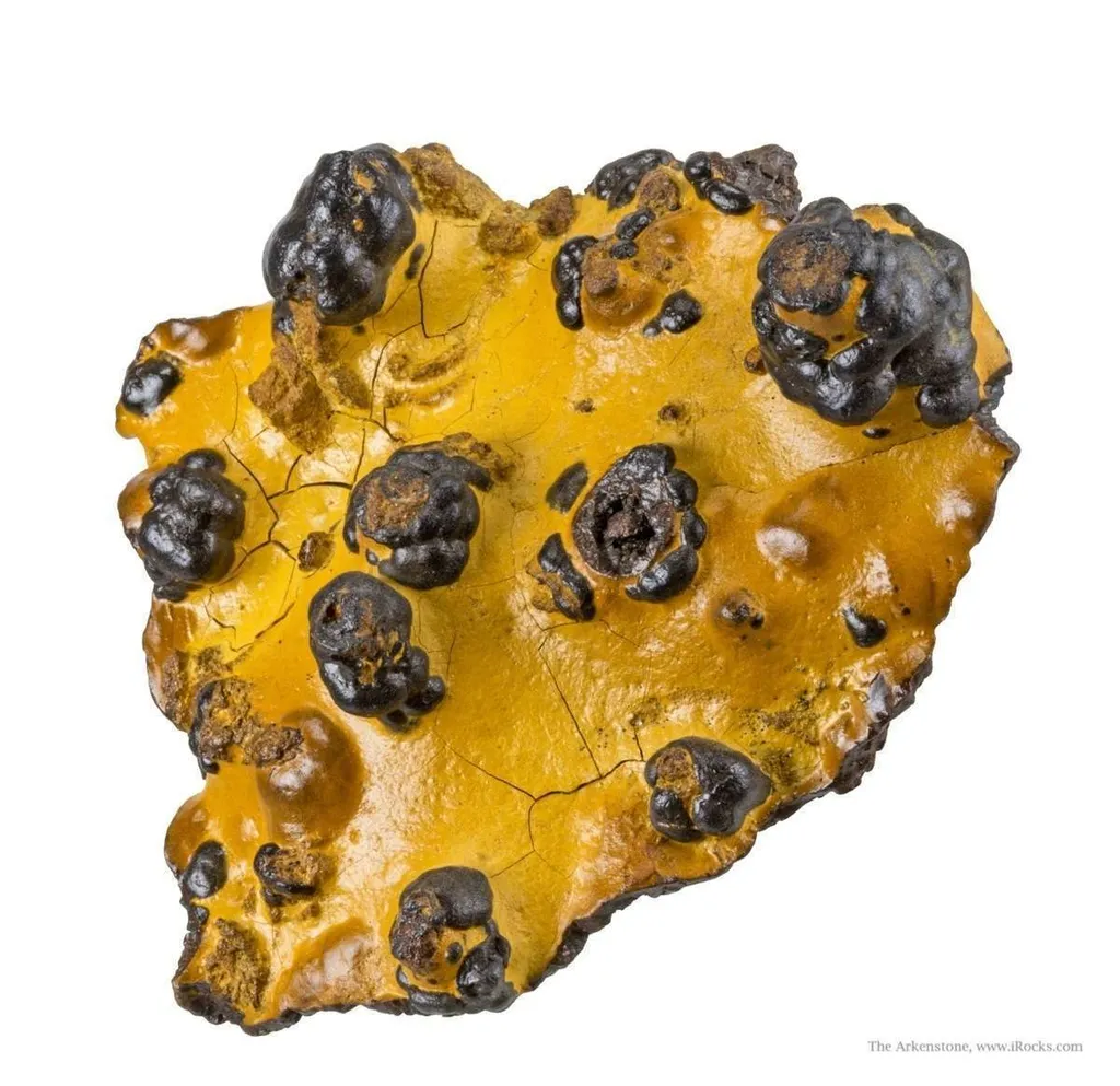 Manganese Biominerals (Todorokite, Romanechite, Birnessite) - image 2