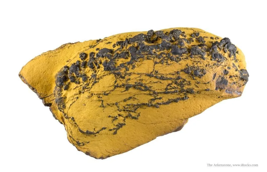 Manganese Biominerals (Todorokite, Romanechite, Birnessite) image