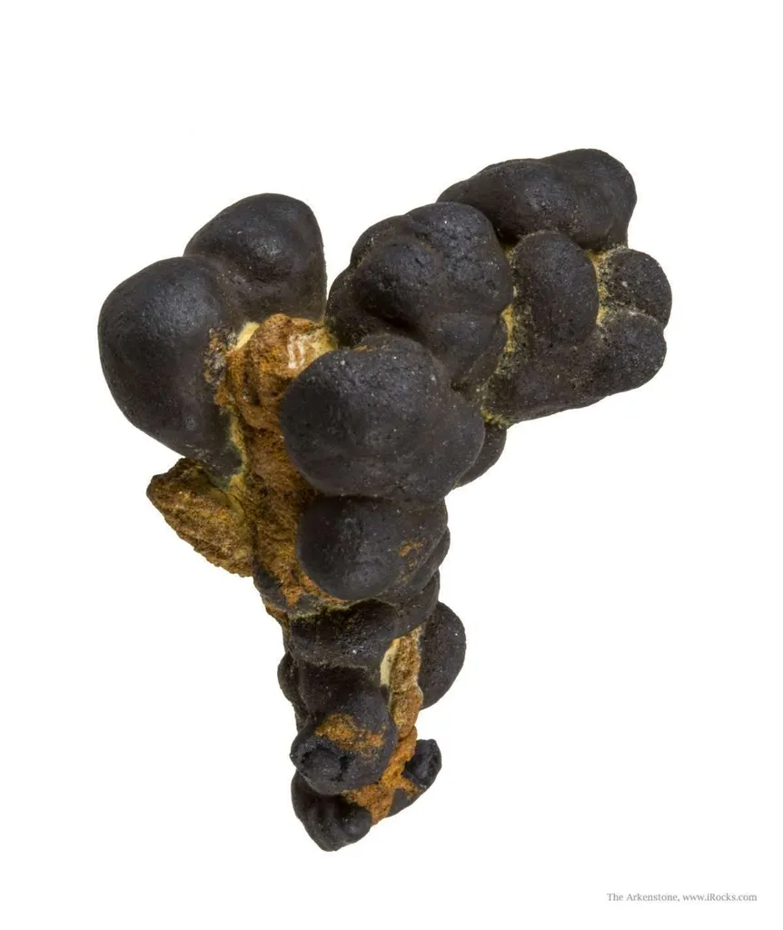 Manganese Biominerals (Todorokite, Romanechite, Birnessite) image