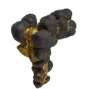 Manganese Biominerals (Todorokite, Romanechite, Birnessite) - image 1
