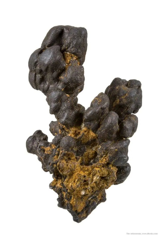 Manganese Biominerals (Todorokite, Romanechite, Birnessite) - image 2
