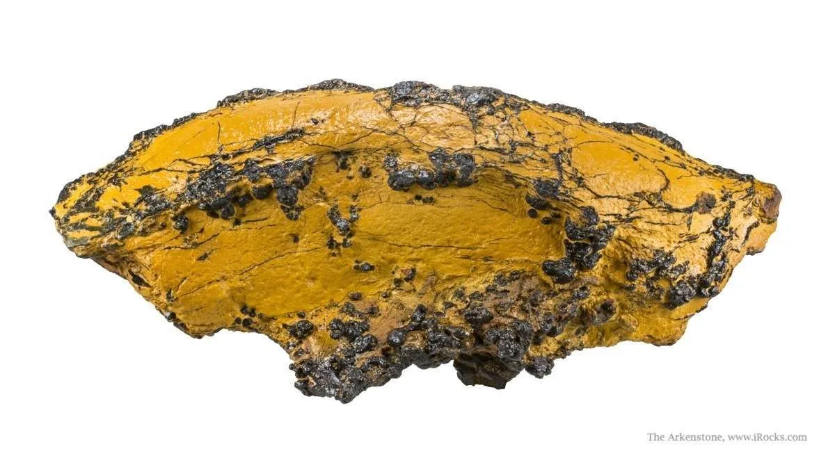 Manganese Biominerals (Todorokite, Romanechite, Birnessite) - image 1