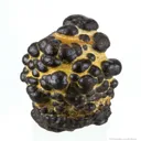 Manganese Biominerals (Todorokite, Romanechite, Birnessite) - image 2