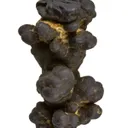 Manganese Biominerals (Todorokite, Romanechite, Birnessite) - image 1