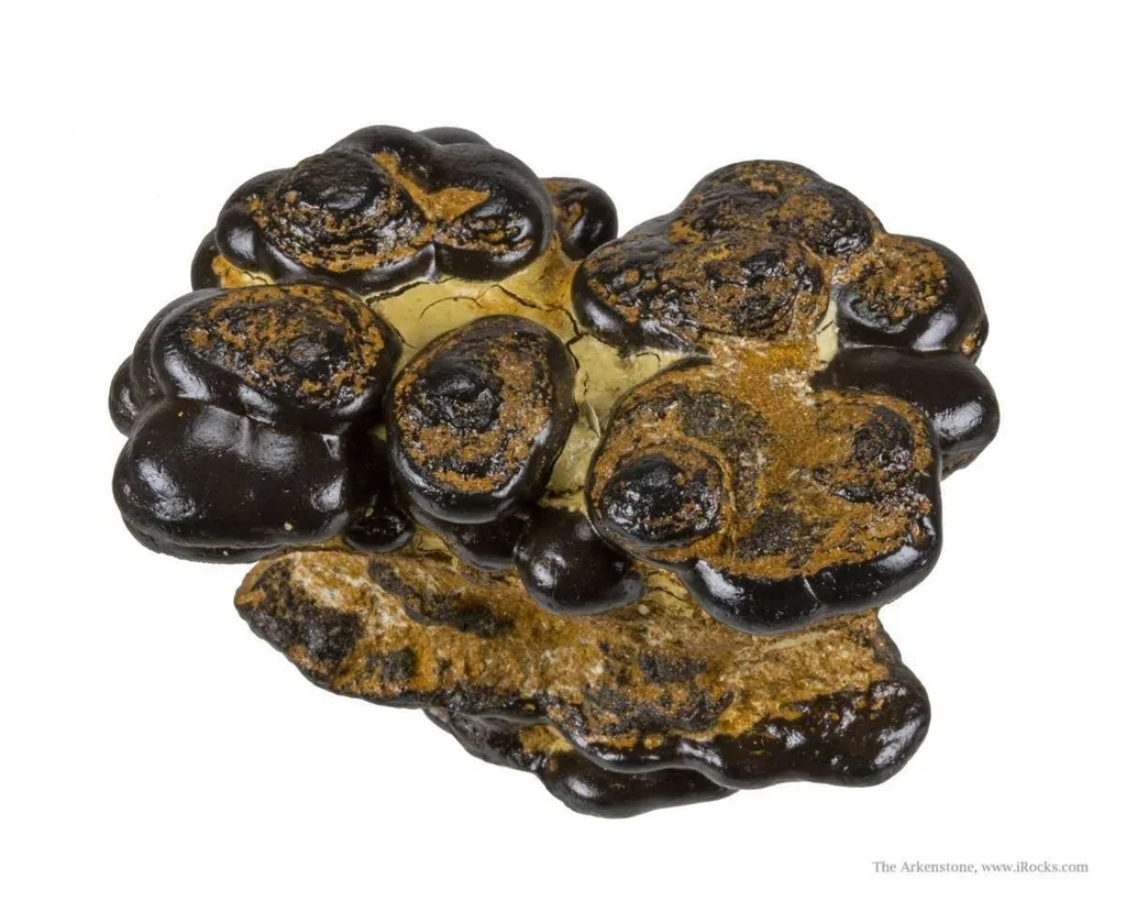 Manganese Biominerals (Todorokite, Romanechite, Birnessite) - image 2